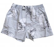 Evolution Boxer